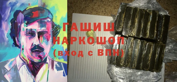 гашик Новозыбков