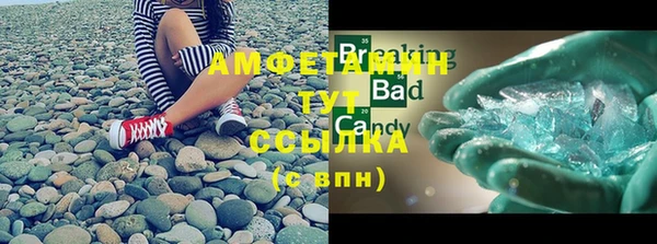 гашик Новозыбков