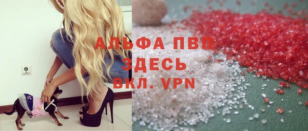 гашик Новозыбков