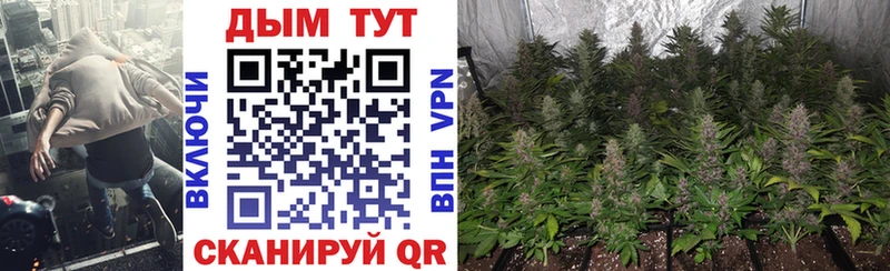 Бошки Шишки марихуана  Купить  Пушкино 